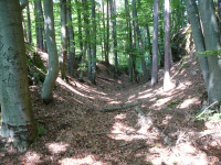 Burgruine Reifnitz  (Sankt Margarethen bei Keutschach)