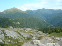 Nationalpark Nockberge (Nockberge/Innerkrems)