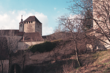 Burg Neuberg (Löffelbach bei Hartberg)