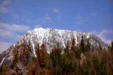 Schneealpe (Neuberg an der Mürz)