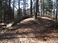 Römerzeitlicher Grabhügel  (Stubenberg am See)