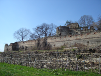 Burgruine Alt-Schielleiten (Schielleiten) (Stubenberg am See)