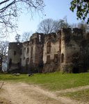 Burgruine Alt-Schielleiten (Schielleiten) (Stubenberg am See)