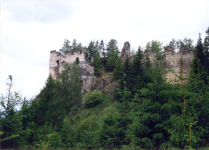 Ruine Steinschloss (Mariahof)