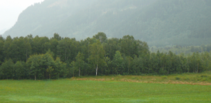 Pürgschacher Moor mit Erlebnisweg (Ardning)