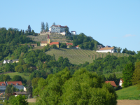 Burg Kapfenstein (Kapfenstein)