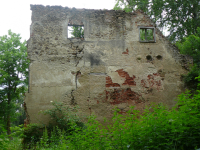 Burgruine Bärnegg mit Kirchenruine hl. Nikolaus (Elsenau) (Schäffern )