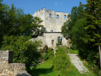 Burgruine Hohenwang  (Langenwang)