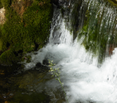 Erlebnisweg Roßlochklamm  (Mürzsteg/Neuberg an der Mürz)