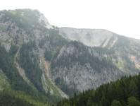 Eiszeitliches Trogtal  (Altenberg an der Rax/Neuberg an der Mürz)