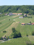 Weinweg der Sinne (Frutten-Giesselsdorf) (Sankt Anna am Aigen)