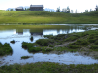 Seenplateau Tauplitzalm (Tauplitzalm) (Bad Mitterndorf)