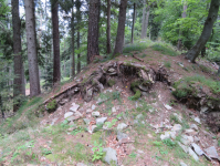 Historische Wehranlage Ringkogel (Hartberg)