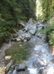 Donnersbachklamm (Donnersbach) (Irdning-Donnersbachtal)