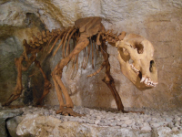 Tischofer Höhle (Sparchen)  (Kufstein)