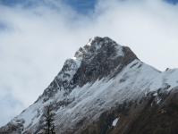 Nationalpark Hohe Tauern I (Ströden bei Hinterbichl) (Prägraten am Großvenediger)