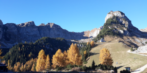 Brandenberger Alpen/Rofan (Steinberg am Rofan bei Achenkirch)