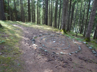 Archaeo-Pfad am Goldbichl (Igls bei Innsbruck)