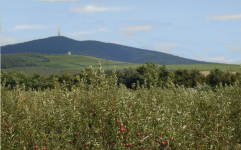 Weingebiet (Tokaj)