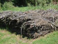 Hochwasserschutz I (Tisza/Theiß)