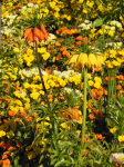 Botanischer Garten I (Meran/Merano)