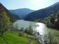 Falschauer Bach (Sankt Wallburg) (Ultental/Valdultimo)