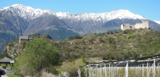 Burgruine Obermontani (Morter bei Latsch)