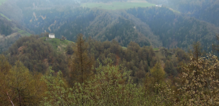 Burgruine Ober- und Untermatsch  (Matsch/Mazia)