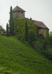 Schloss Warth (Sankt Pauls) (Eppan an der Weinstraße/Appiano sulla strada del vino)