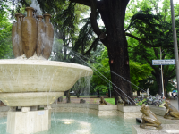 Froschbrunnen (Bozen/Bolzano)