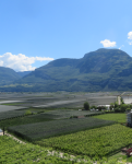 Kellerei Cantina Kurtatsch (Kurtatsch an der Weinstraße/Cortaccia sulla Strada del Vino)