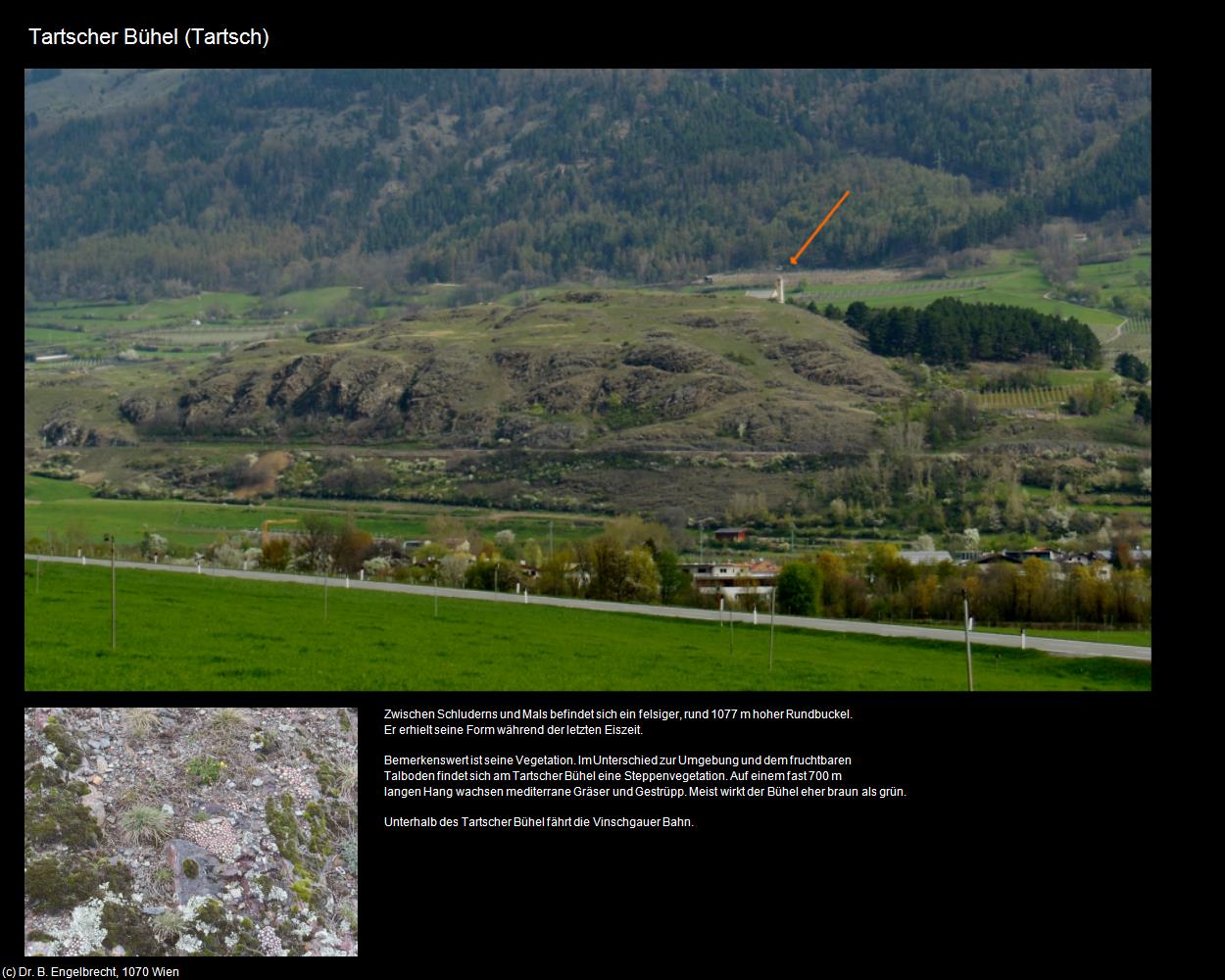 Tartscher Bühel  (Tartsch bei Mals/Tarces) in Kulturatlas-SÜDTIROL