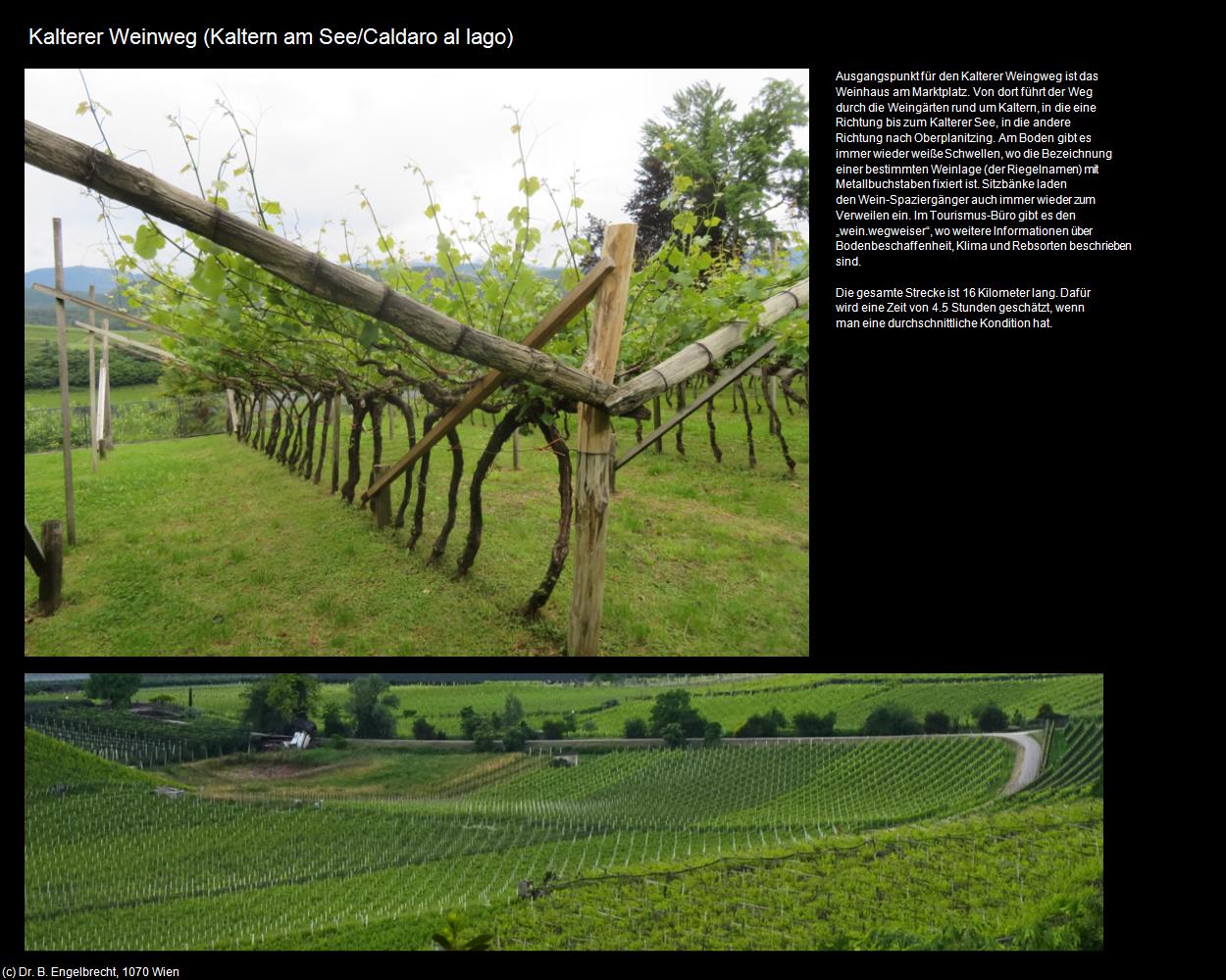 Kalterer Weinweg (Kaltern am See/Caldaro al lago) in Kulturatlas-SÜDTIROL