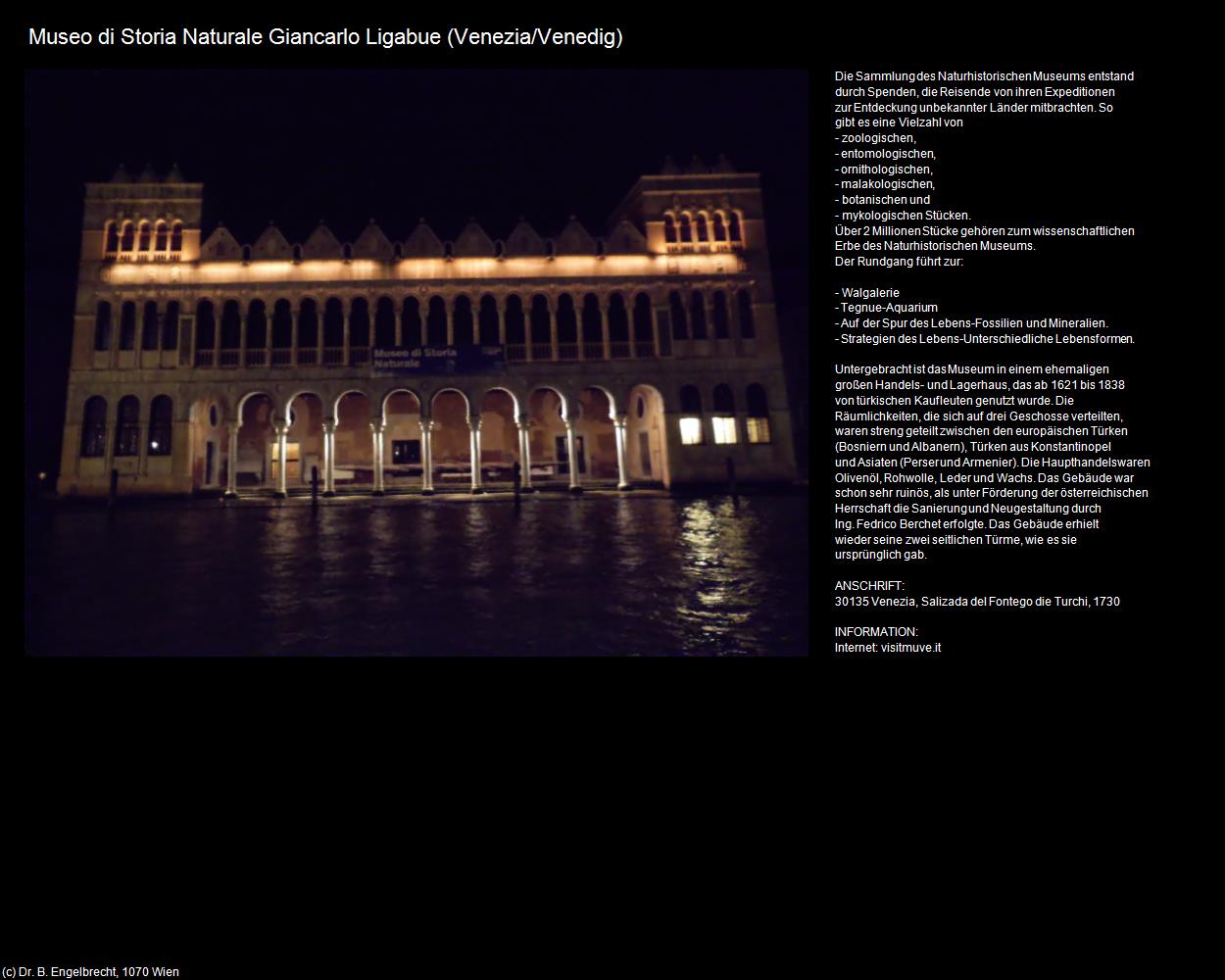 Museo di Storia Naturale Giancarlo Ligabue (Venedig/Venezia) in Kulturatlas-VENEDIG