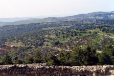 Qalaat ar Rabad (Ajloun (JOR))