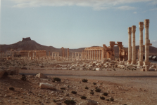 Antikes Palmyra I (Tadmur (SYR))