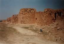 Sergiopolis (Resafa (SYR))