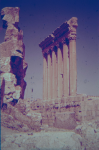 Jupitertempel (Baalbek (LBN))