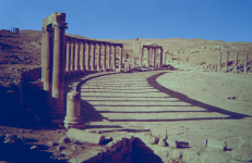 Antike Metropole Gerasa III (Jerash (JOR))