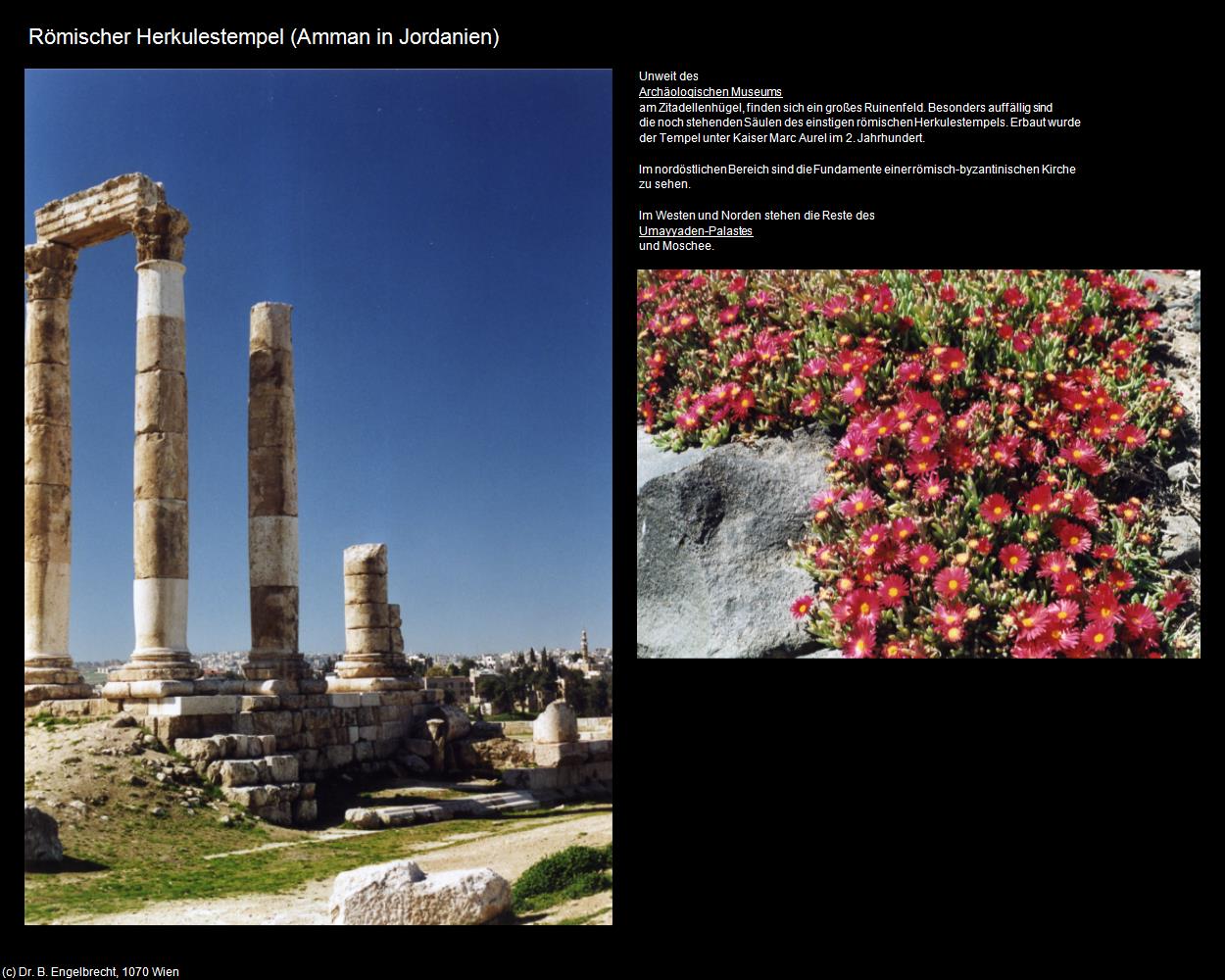 Römischer Herkulestempel (Amman (JOR)) in Kulturatlas-JORDANIEN-SYRIEN-LIBANON(c)B.Engelbrecht