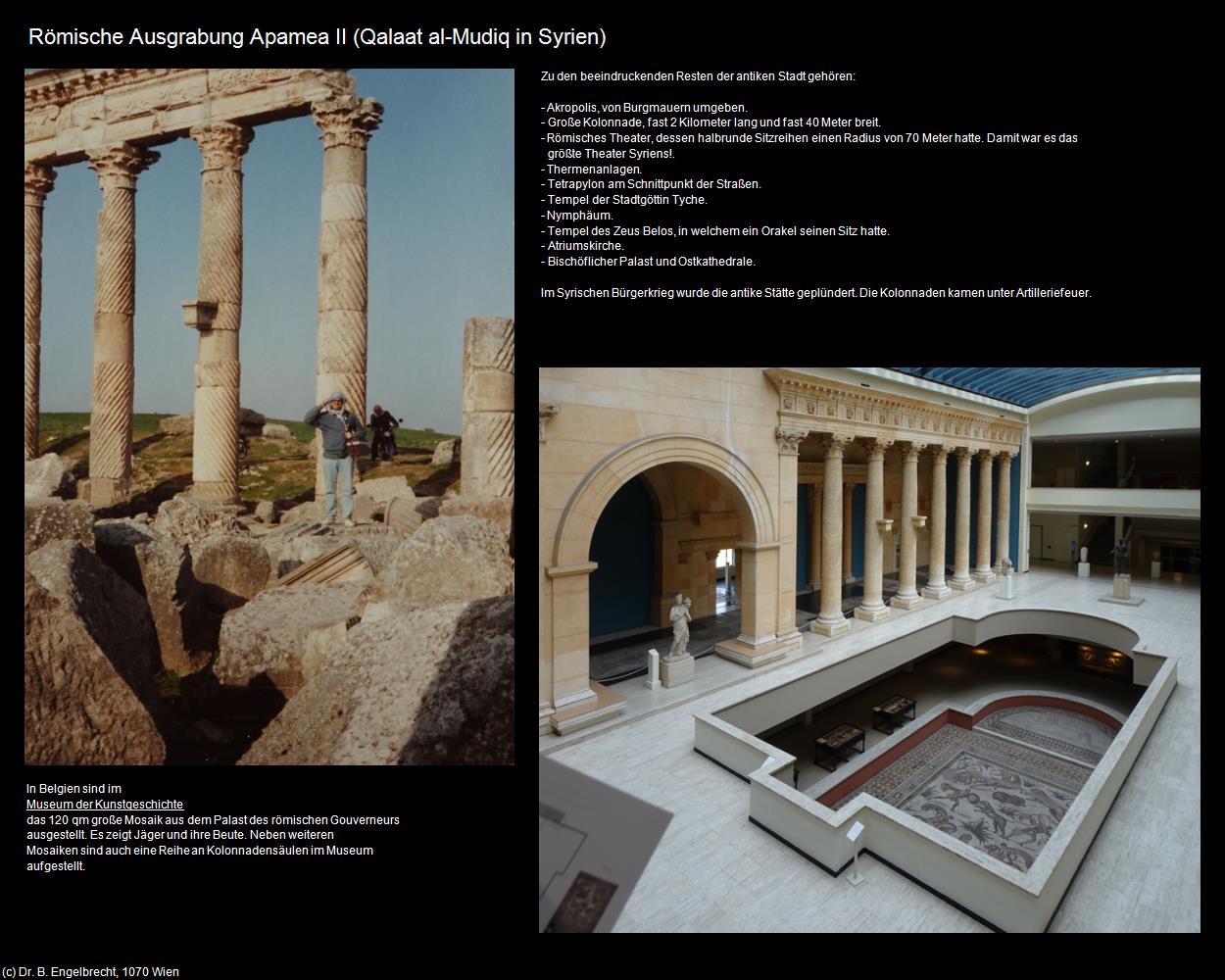 Römische Ausgrabung Apamea II (Qalaat al-Mudiq (SYR)) in Kulturatlas-JORDANIEN-SYRIEN-LIBANON(c)B.Engelbrecht