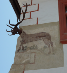 Haus mit dem Hirschgeweih  (Sighisoara/Schässburg)