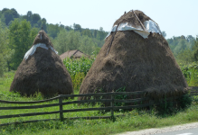 Capatanii-Gebirge (Horezi)