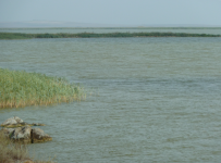 Dobrogea/Dobrudscha  (Babadag)