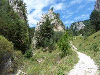 Nationalpark Bicaz Schlucht-Hasmas  (Gheorgheni/Niklasmarkt)