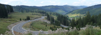 Wälder in den Ostkarpaten  (Vatra Dornai)