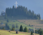 Wälder in den Ostkarpaten  (Vatra Dornai)