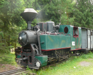 Waldeisenbahn PLZ (Hohe Tatra) (Pribylina)