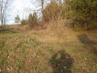 Wallanlage der Burgruine Hornstein (Hornstein)