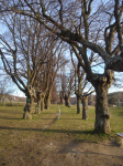 Gedenktafel verunglückte Türken, Karner und Lindenallee (Hornstein)